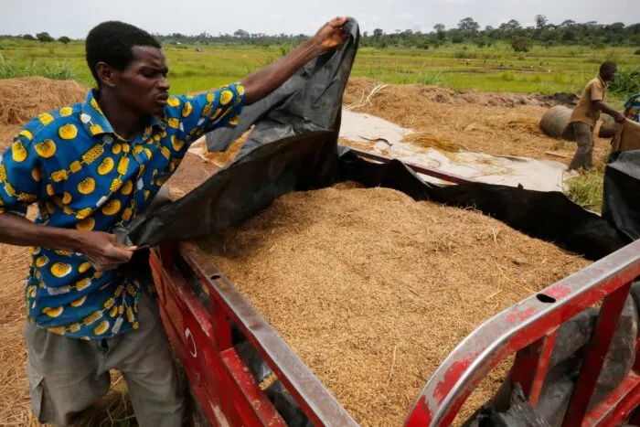 2014-10-09T120000Z_296825572_GM1EAA91U4X01_RTRMADP_3_RICE-IVORYCOAST-1684761484.jpg