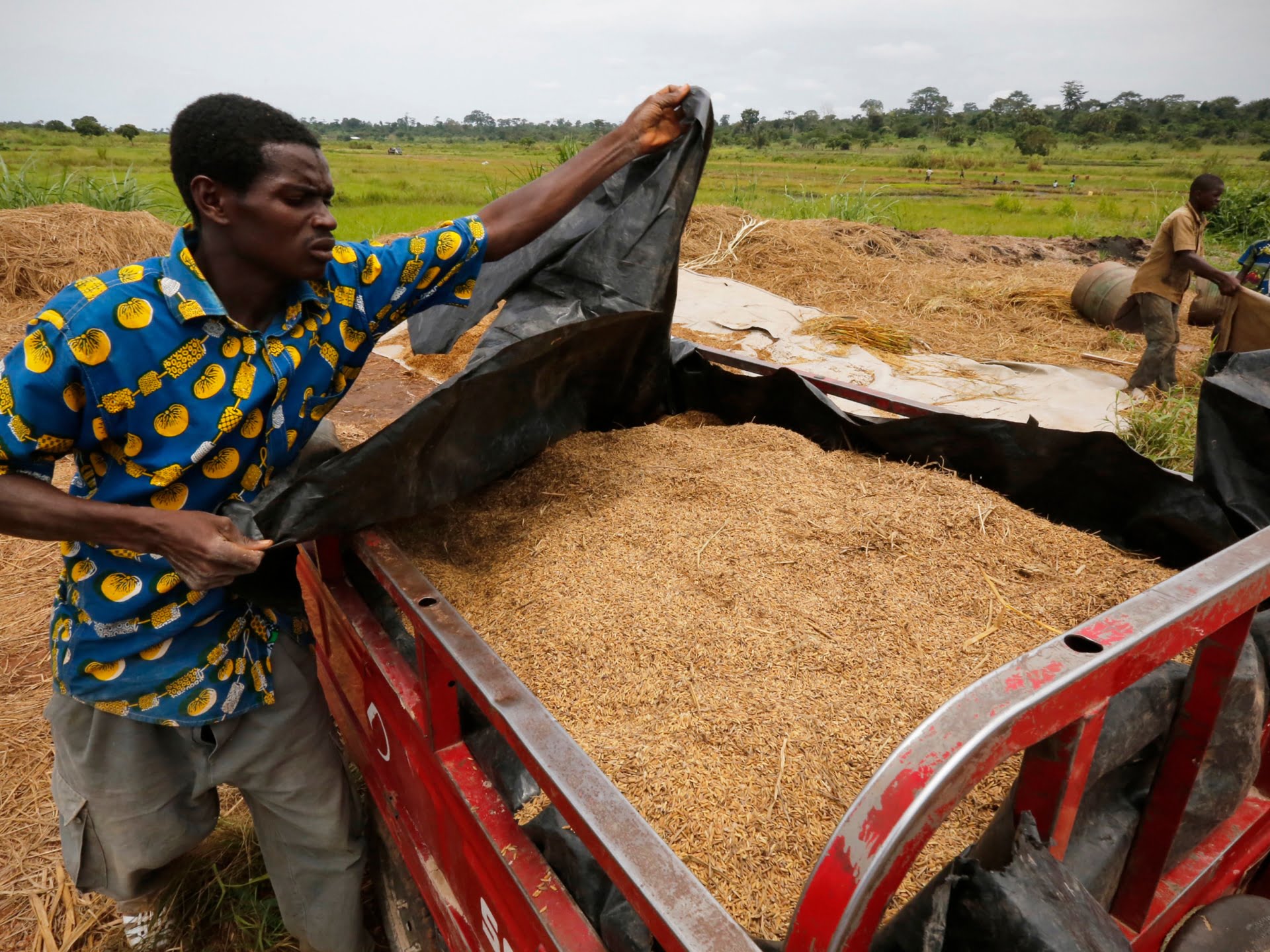Inflația a făcut din apreciatul orez jollof din Africa de Vest o masă scumpă