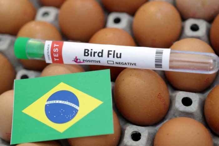 2023 02 15T094350Z 304703833 RC22BZ9NEZGD RTRMADP 3 HEALTH BIRDFLU 1684825453