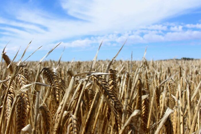 2023 04 11T085742Z 32991142 RC27C0AZGTFL RTRMADP 3 AUSTRALIA CHINA TRADE 1683178170