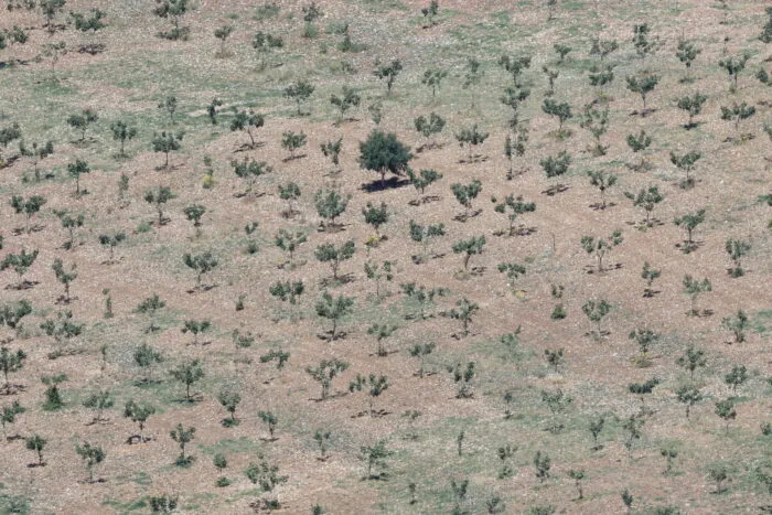2023-05-17T040045Z_1082340951_RC2AW0ANZ54I_RTRMADP_3_CLIMATE-CHANGE-EU-DROUGHT-1684322270.jpg