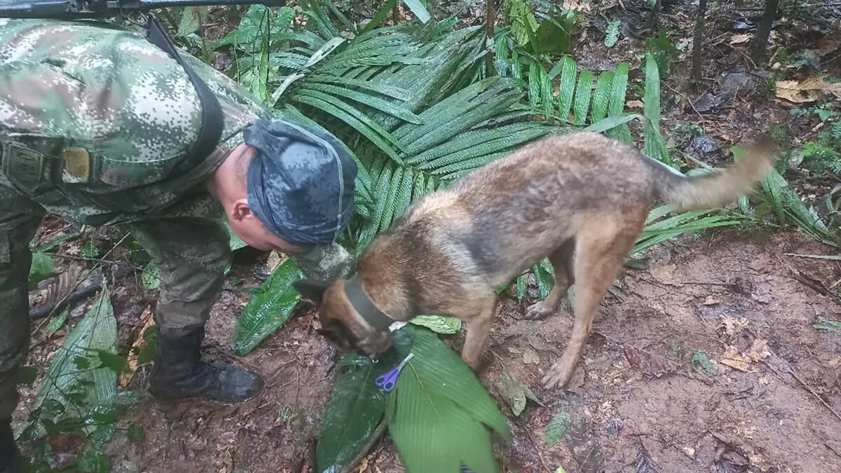 2023-05-17T225520Z_678023308_RC2C01APEUH3_RTRMADP_3_COLOMBIA-RESCUE-1684382682.jpg
