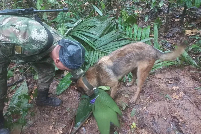 2023-05-17T225520Z_678023308_RC2C01APEUH3_RTRMADP_3_COLOMBIA-RESCUE-1684382682.jpg