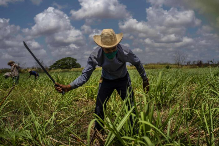 AP21119771560902 1683850526