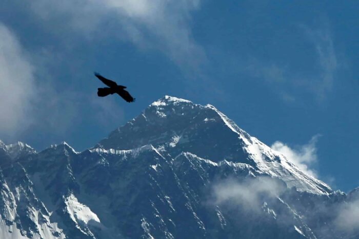 AP23145587615772 1685082074