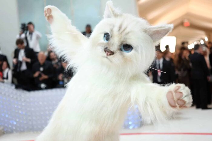 afp.com 20230501 PH GTY 1486928074 highres 1683000376