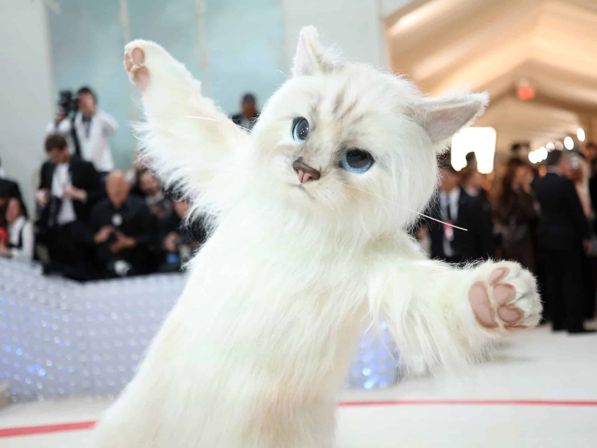 Met Gala în onoarea designerului Karl Lagerfeld