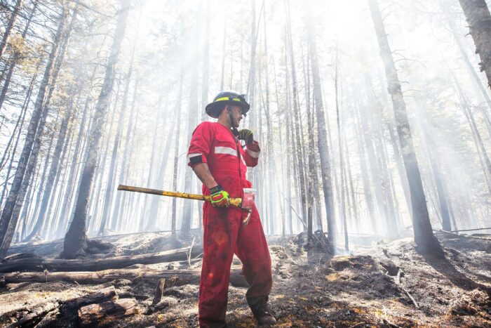 33GM2A4 highres 1685648093