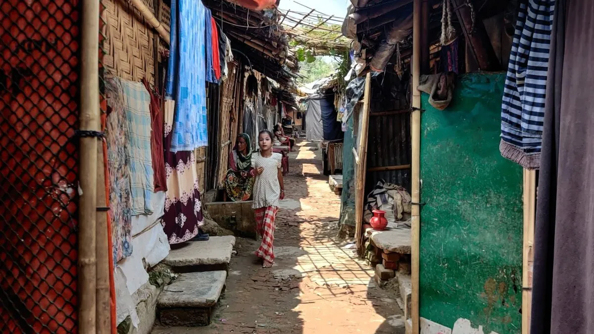 5-1685973742.jpg