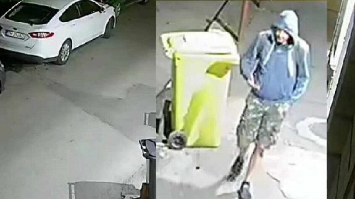 Cum arată criminalul din Timişoara care este de negăsit? Cum arata criminalul din Timisoara care este de negasit A