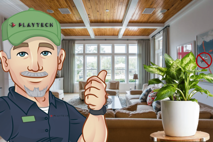 Planta-pe-care-trebuie-sa-o-tii-mereu-in-casa.png