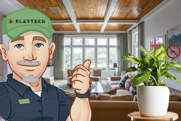 Planta-pe-care-trebuie-sa-o-tii-mereu-in-casa.png