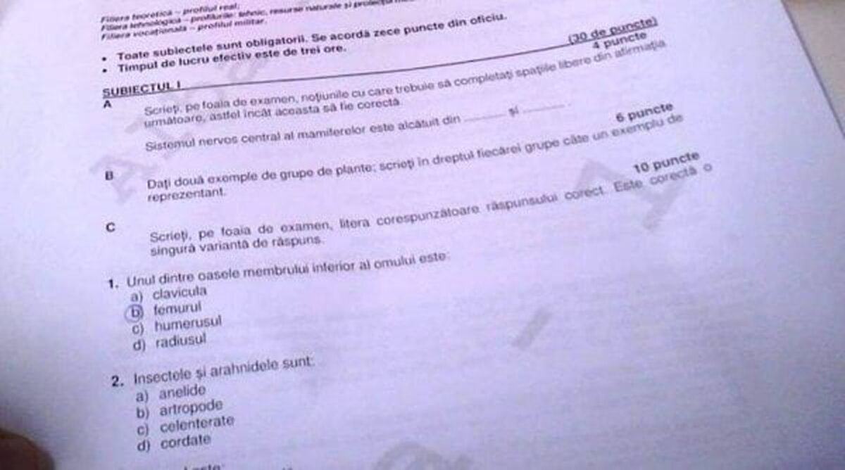 S-au publicat subiectele la Biologie de la Bacalaureat 2023