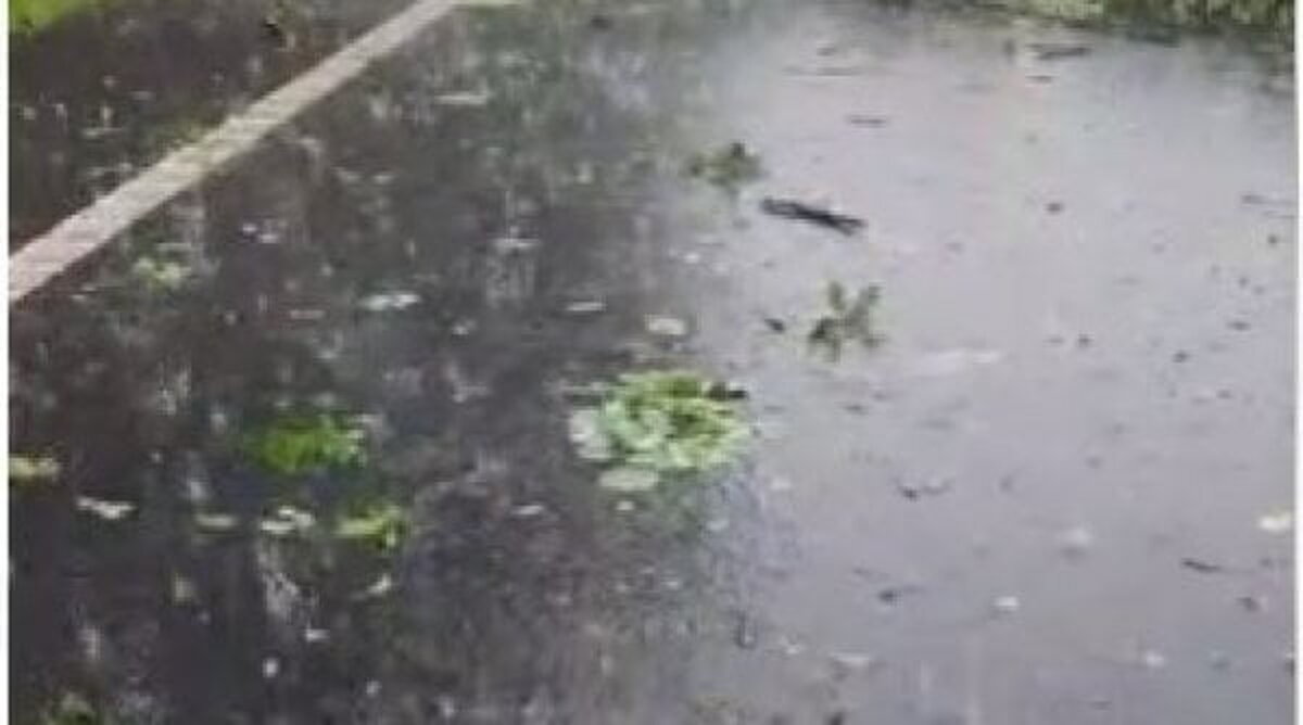 ANM prognozează unde lovesc furtunile în orele următoare în România