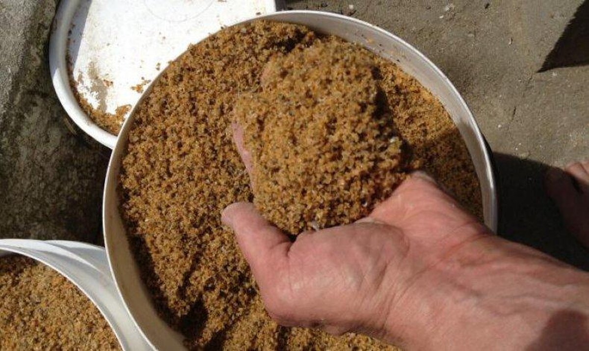 Care este alimentul pe care să-l dai la găini dacă vrei să facă multe ouă?