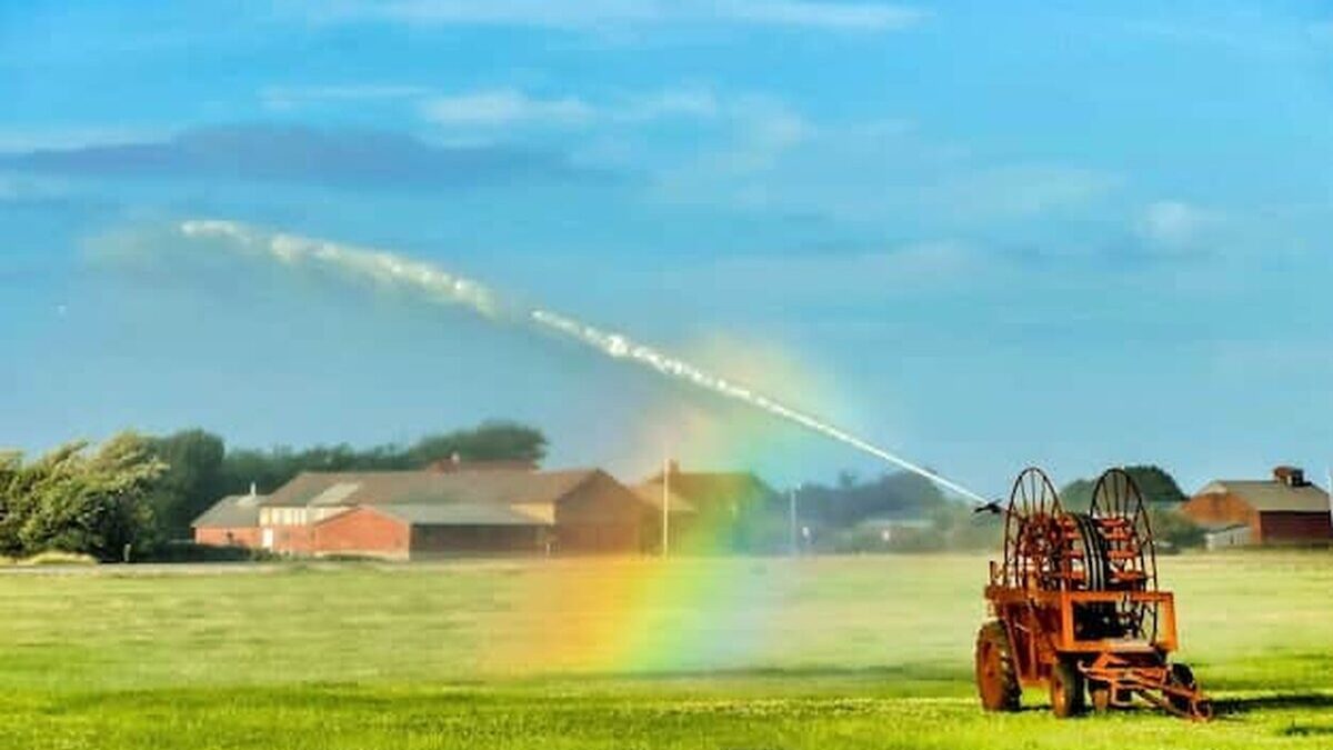 Magazin Agricover: Insecticide profesionale pentru protecția culturilor 5f373d32fcedc8af0b116468bfc1d327