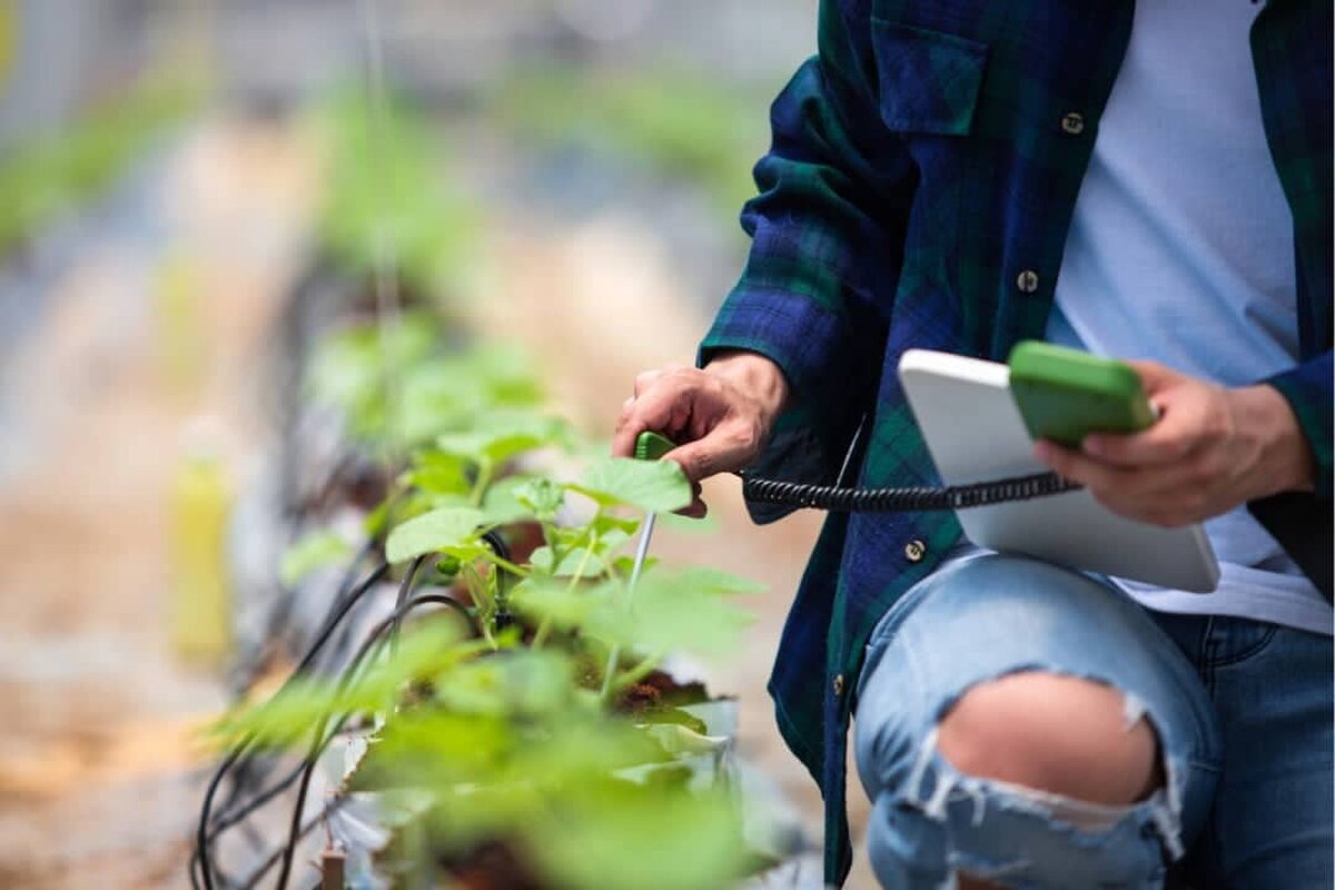 Cât câștigă românii care lucrează în construcții, agricultură sau IT?