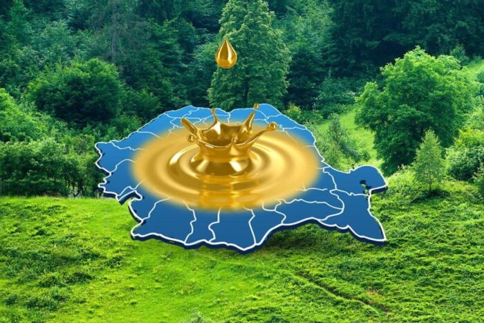 Ce se întâmplă în satul din România unde aurul curge la propriu? Satul din Romania unde aurul curge la propriu Multi nici