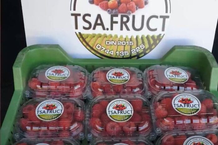 Afacerea banala cu care doi romani au dat lovitura Le a