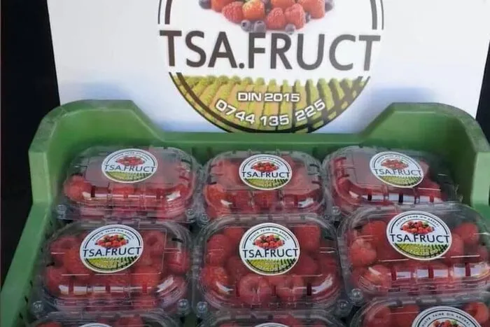 Afacerea-banala-cu-care-doi-romani-au-dat-lovitura-Le-a.jpg