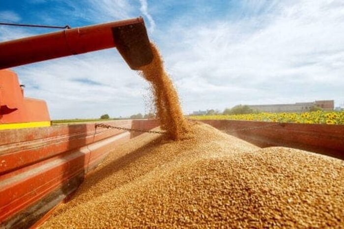 Fermierii romani lideri in clasamentul exporturilor de grau in afara