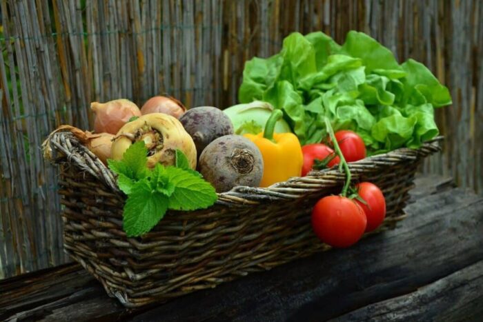 Secretul pentru cei care cultiva ardei in gradina E obligatoriu