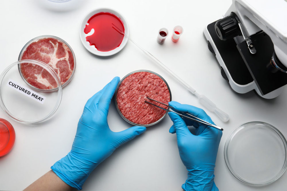 mai multe date pe etichetele produselor, și în special la produsele din carne