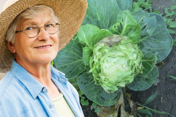 Cum salvezi varza pentru sarmale daca este acra sau prea