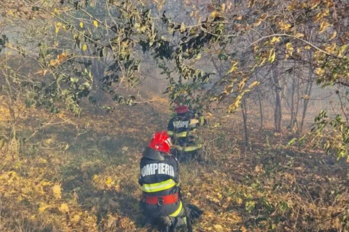 Incendiu-urias-in-Delta-Dunarii-A-luat-foc-padurea-ce.jpg
