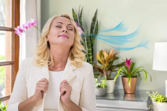 Plante-de-interior-care-iti-parfumeaza-casa-Unde-e-bine.jpeg