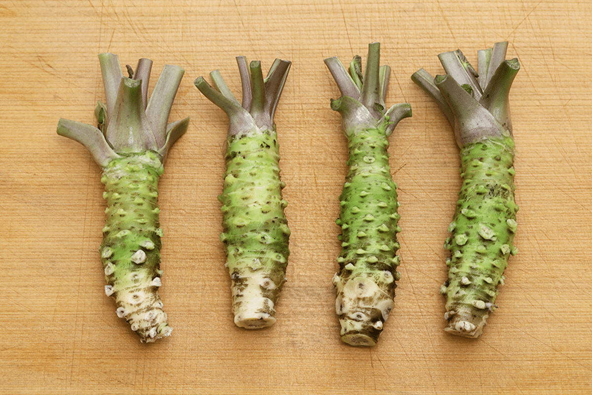 Wasabi: Dincolo de iuțeală - O explorare profundă a rădăcinii verzi a Japoniei wasabi japanese horseradish 2022 02 28 22 19 34 utc