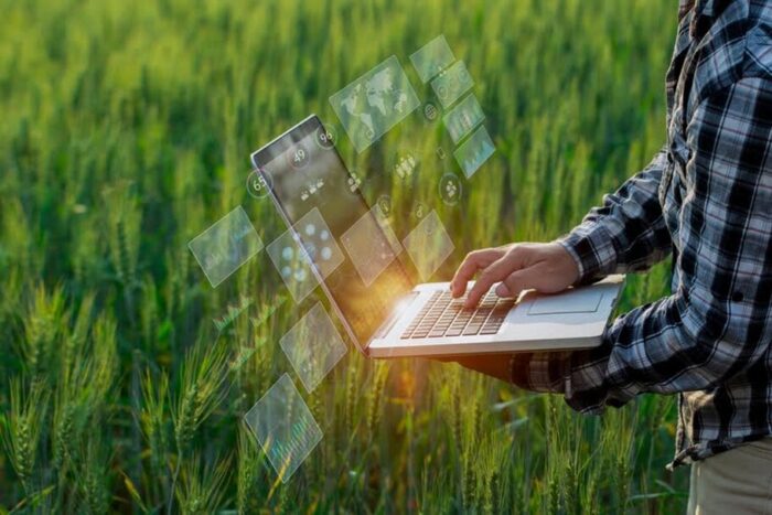 Metode eficiente de a crește producția și a diminua pierderile în agricultură agricultura moderna