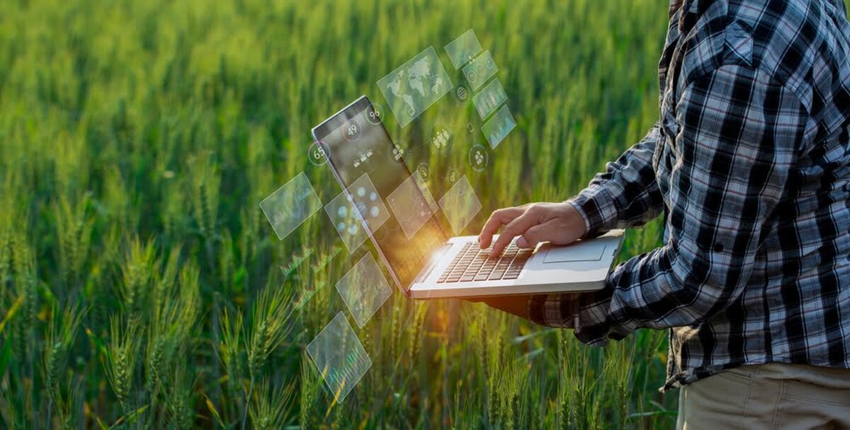 Metode eficiente de a crește producția și a diminua pierderile în agricultură agricultura moderna