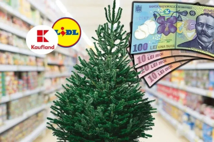 Cat-costa-brazii-naturali-la-Kaufland-si-Lidl-Ce-inaltime.jpeg