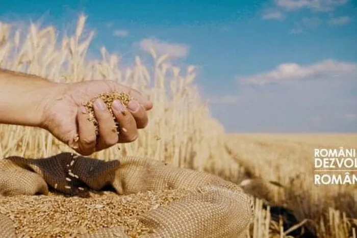 Prima-unitate-bancara-dedicata-exclusiv-agricultorilor-si-industriei-agroalimentare.jpg