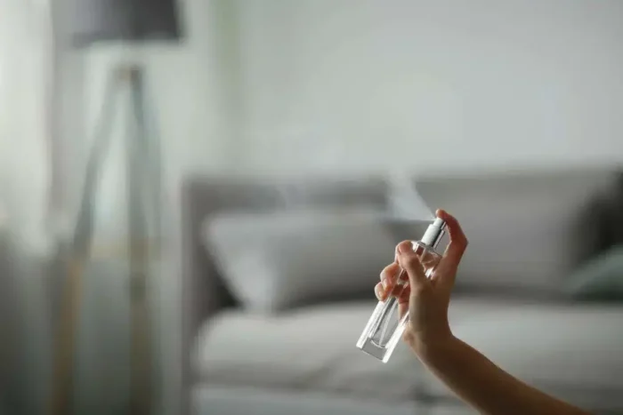 Trucul cu care iti parfumezi toata casa in doar cateva. Nu ai nevoie de odorizante de camera .webp