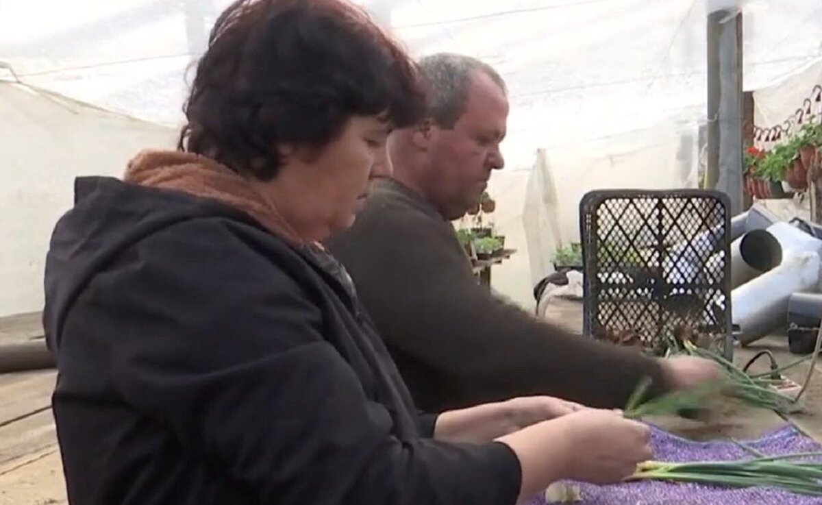 O afacere inedită în plină iarnă geroasă se poate face în solarii