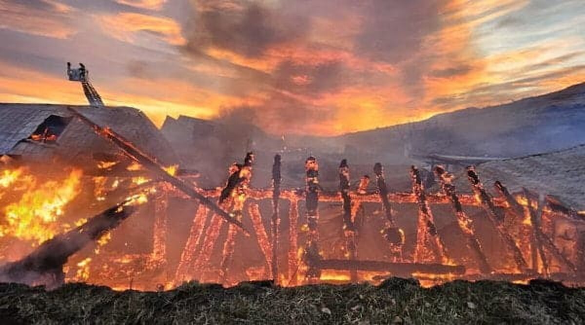 Mărturia care dă peste cap ancheta în cazul incendiului de la Ferma Dacilor Marturia care da peste cap ancheta in cazul incendiului de