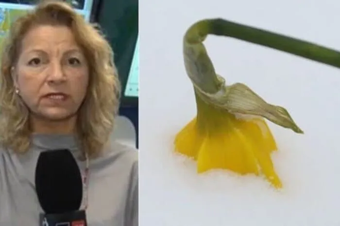 Un-vortex-polar-loveste-Romania-Alina-Serban-ANM-Vom-avea.jpg