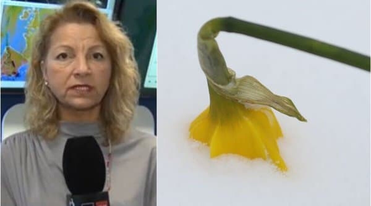 Alina Şerban, ANM: „Vom avea un episod autentic de iarnă”