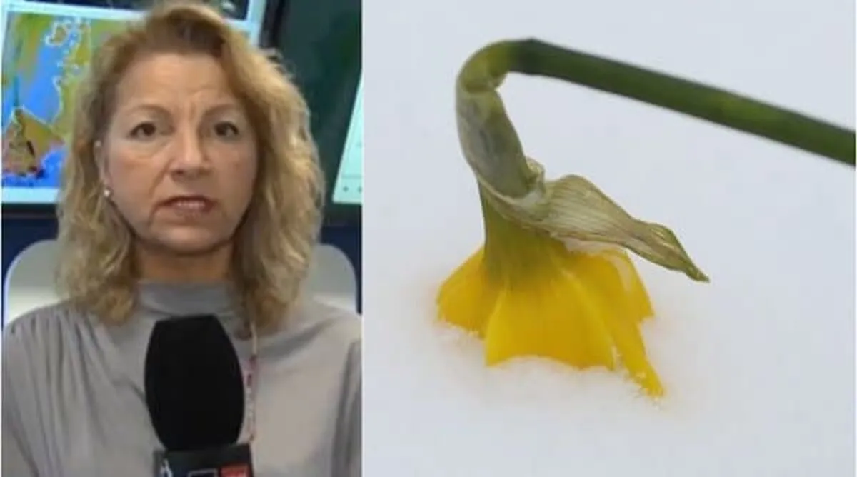 Un-vortex-polar-loveste-Romania-Alina-Serban-ANM-Vom-avea.jpg