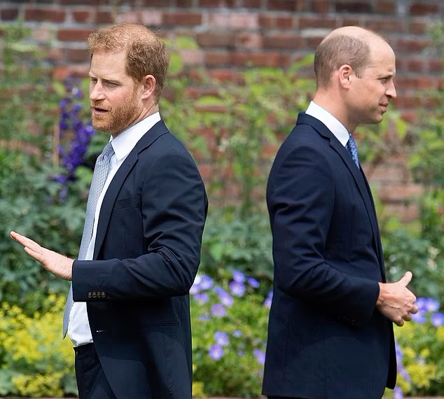 Ce se întâmplă acum între Prințul William și Prințul Harry. <a href=