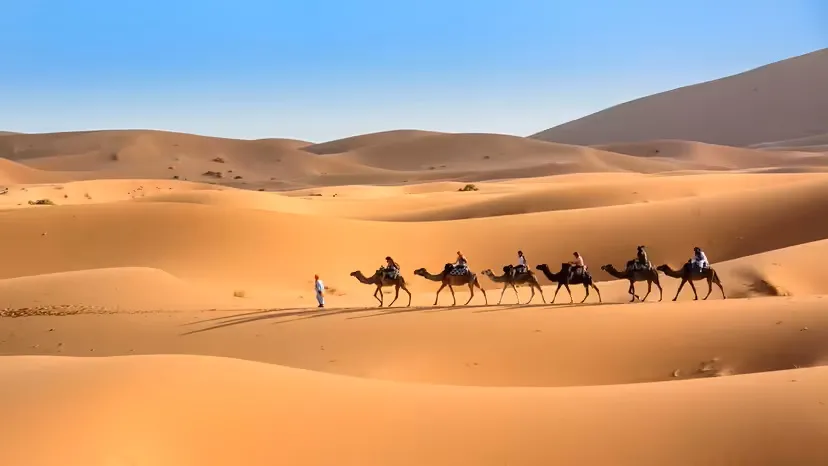 Care este cel mai mare deşert din lume. Nu este vorba despre Sahara, e abia al treilea în top, de fapt