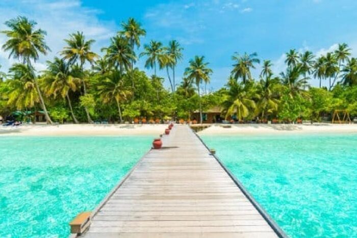 Atentie la malaria de import Se mentine pericolul de imbolnavire