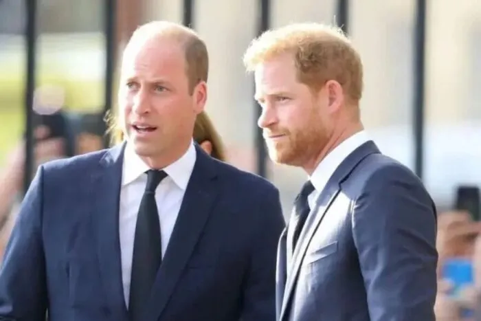 Ce-se-intampla-acum-intre-Printul-William-si-Printul-Harry.-Informatii-noi-din-familia-regala-britan.jpeg