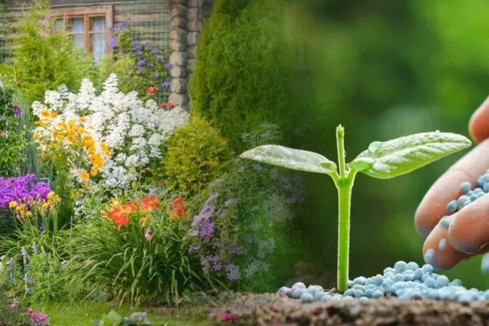 Ingrasamant-bio-pentru-gradina-ta-Ingredientele-care-iti-vor-transforma.jpg