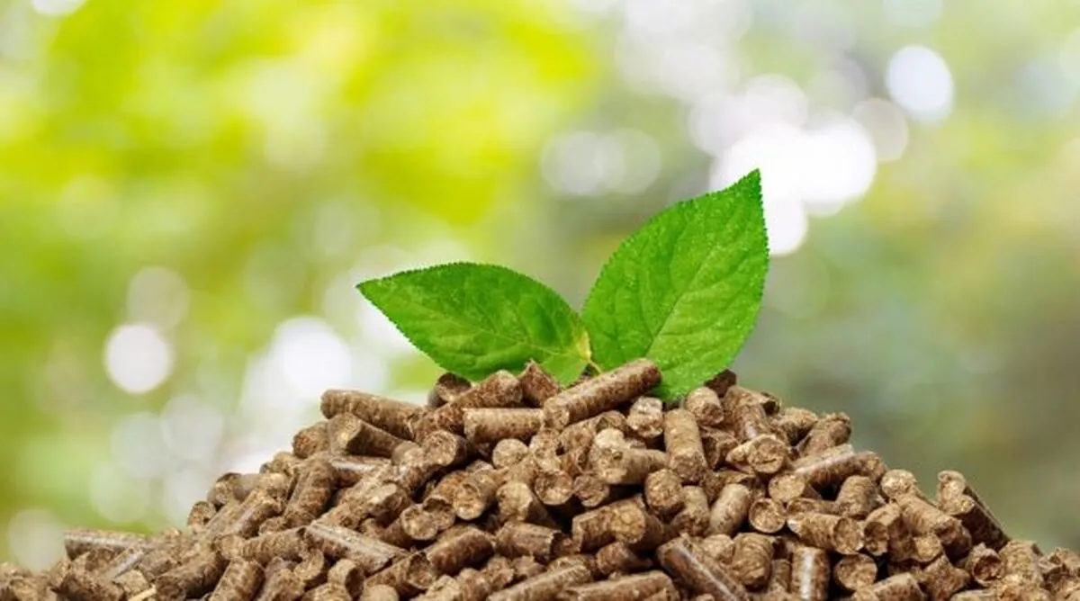 Peletii-de-vanzare-de-la-Tomibena-solutia-ecologica-pentru-eficienta.jpg