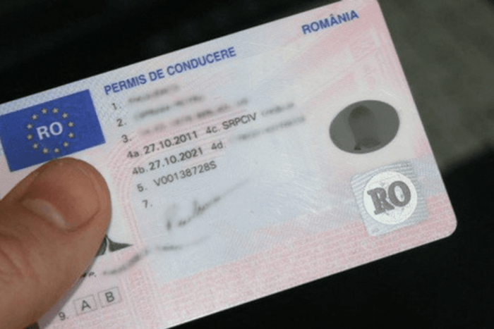 Permis suspendat pe viata in Romania Legea care ar putea