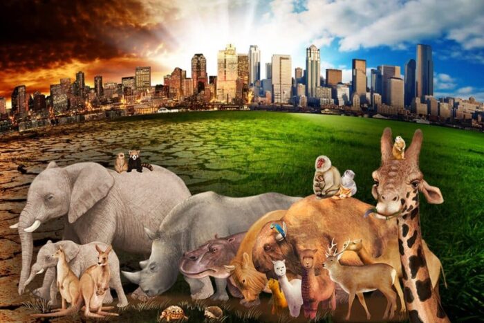 Singurele animale care nu dorm niciodata Ce au observat oamenii