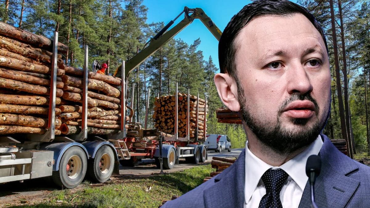 Ce-presupune-noul-Cod-Silvic-2024.-Devine-interzis-in-Romania-anuntul-facut-de-ministrul-Mediului_1.jpg